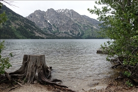 Grand Teton NP